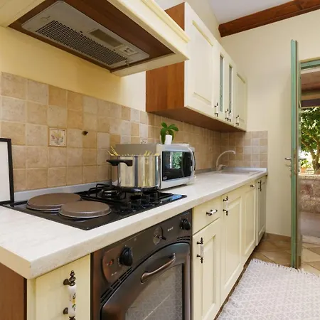 Villa Rustic Eco With Pool In Vizinada Baldasi